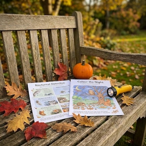 Halloween Naturvetenskapliga arbetsblad för barn, Nattdjursaktiviteter, Fladdermusuggla Spindel Pumpa, Utskrivbart Hemundervisningspaket Åldrar 4-7 bild 3