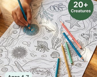 Giant Rockpool Colouring Poster | Sea Creatures for Kids | Ages 4-7 | Crab Starfish Anemone | Beach Art | Printable PDF