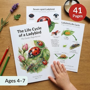 Puede incluir: Un libro infantil titulado "El ciclo de vida de una mariquita" con ilustraciones de mariquitas y las etapas de su ciclo de vida. El libro tiene 41 páginas y es para niños de 4 a 7 años. También se ven una lupa y lápices de colores.