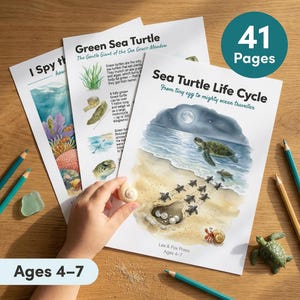 Può includere: Materiale didattico per bambini dai 4 ai 7 anni, con le tartarughe marine. L'immagine mostra pagine illustrate sul ciclo vitale delle tartarughe marine, con il testo "Sea Turtle Life Cycle" e "Green Sea Turtle". Include 41 pagine.