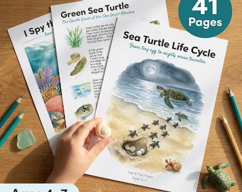 Sea Turtle Life Cycle Worksheets | Hatchling to Ocean | Ages 4-7 | Beach Nesting Conservation | Endangered Species | Printable PDF