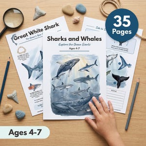 May include: A 35-page educational activity book titled Sharks and Whales: Explore the Ocean Giants for ages 4-7. The cover features watercolor illustrations of various sharks and whales swimming underwater, accompanied by two additional activity sheets.