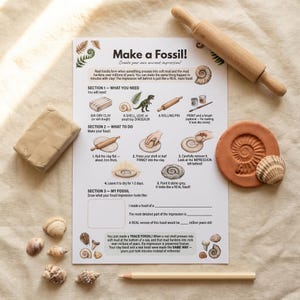May include: A craft kit for making clay fossils, featuring air-dry clay, a rolling pin, and a sheet with instructions. Includes a finished fossil, seashells, and a pencil. The text on the sheet reads "Make a Fossil!"