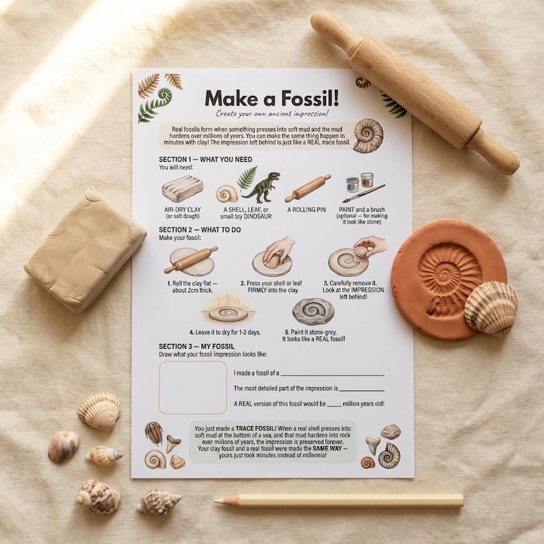May include: A craft kit for making clay fossils, featuring air-dry clay, a rolling pin, and a sheet with instructions. Includes a finished fossil, seashells, and a pencil. The text on the sheet reads "Make a Fossil!"