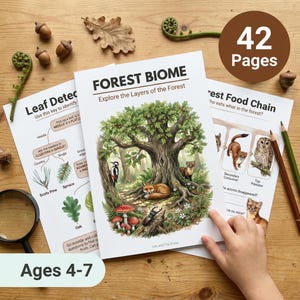 Wald Biome Arbeitsblätter für Kinder | Futterkette | Baum Ringe | 4-7 Jahre | Waldökosystem | Eiche Fuchs Reh | Druckbares PDF