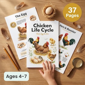 Puede incluir: Un libro educativo para niños titulado "Chicken Life Cycle" con ilustraciones de pollos, huevos y pollitos. El libro va acompañado de dos páginas informativas y lápices. El libro es para niños de 4 a 7 años y tiene 37 páginas.