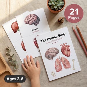 May include: A set of educational cards titled The Human Body Montessori Three-Part Cards, featuring watercolour illustrations of a brain, heart, lungs, tooth, and bone. The set includes 21 pages and is designed for ages 3-6, with clear text labels.
