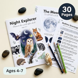 Nocturnal Animals Worksheets | Night Explorer | Ages 4-7 | Owl Bat Fox Hedgehog | Moon Phases | I Spy | Printable PDF