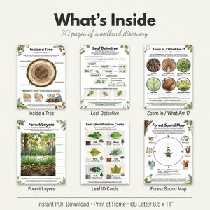 May include: A collection of educational woodland discovery pages. The pages include topics like Inside a Tree, Leaf Detective, Zoom In/What Am I?, Forest Layers, Leaf ID Cards, and Forest Sound Map. The text reads "What's Inside 30 pages of woodland discovery."