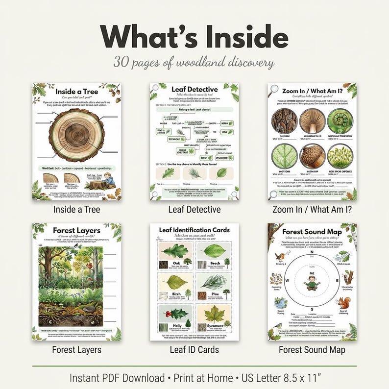May include: A collection of educational woodland discovery pages. The pages include topics like Inside a Tree, Leaf Detective, Zoom In/What Am I?, Forest Layers, Leaf ID Cards, and Forest Sound Map. The text reads "What's Inside 30 pages of woodland discovery."
