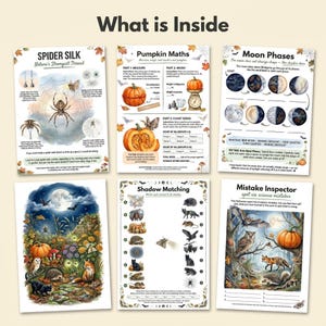 Halloween Naturvetenskapliga arbetsblad för barn, Nattdjursaktiviteter, Fladdermusuggla Spindel Pumpa, Utskrivbart Hemundervisningspaket Åldrar 4-7 bild 2