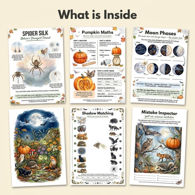 Halloween Naturvetenskapliga arbetsblad för barn, Nattdjursaktiviteter, Fladdermusuggla Spindel Pumpa, Utskrivbart Hemundervisningspaket Åldrar 4-7 bild 2