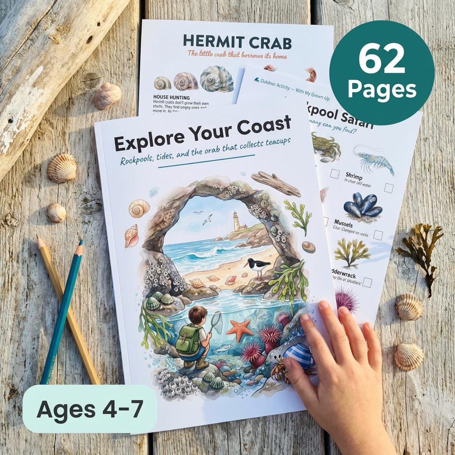 Explorer Science Worksheets Coast Explorer Worksheets | Explore Your Coast | Ages 4-7 | Rock Pools ...
