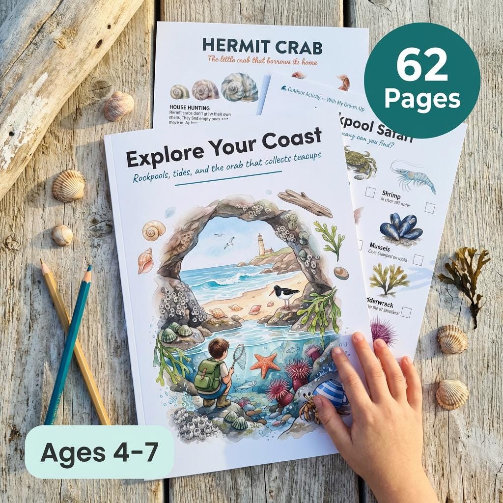 Coast Geography Worksheet.pdf Coast Explorer Worksheets | Explore Your Coast | Ages 4-7 | Rock Pools ...