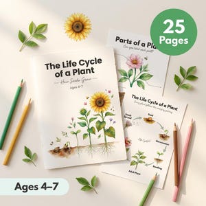 May include: Educational set titled "The Life Cycle of a Plant" for ages 4-7, featuring illustrations of sunflowers and plant growth stages. Includes 25 pages, colored pencils, and leaf accents. The cover text reads "How Seeds Grow".
