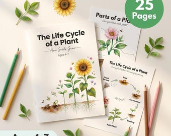 Schede didattiche sul ciclo vitale delle piante / Dal seme al fiore / Età 4-7 anni / Parti di una pianta / Attività scientifiche di giardinaggio / PDF stampabile