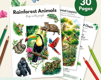 Rainforest Animals Worksheets | Toucan Sloth Jaguar Frog | Ages 4-7 | Jungle Layers Canopy | I Spy | Flashcards | Printable PDF