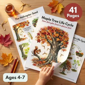 May include: A 41-page educational booklet titled Maple Tree Life Cycle: From Helicopter Seeds to Autumn Gold, featuring watercolor illustrations of maple trees, squirrel, and seeds. Includes a separate page titled The Helicopter Seed.