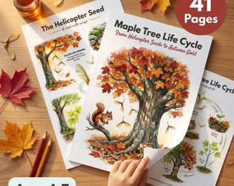 Maple Tree Life Cycle Worksheets | Botany Kids | Ages 4-7 | Helicopter Seeds | Maple Syrup | Growth Rings | Leaf Rubbing | Printable PDF