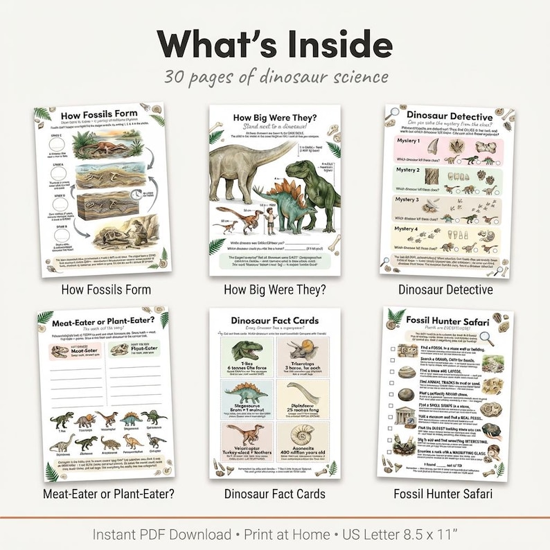 May include: A collection of 30 pages of dinosaur science educational worksheets. The pages feature titles such as How Fossils Form, How Big Were They, Dinosaur Detective, Meat-Eater or Plant-Eater, Dinosaur Fact Cards, and Fossil Hunter Safari.