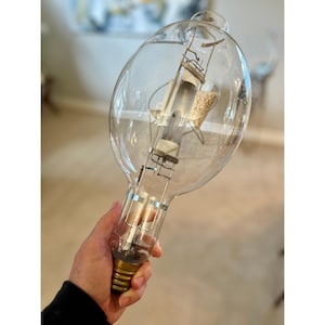 May include: A large, clear glass light bulb with an elongated oval shape. The bulb features an internal metal filament structure and a brass-colored screw base. The glass is transparent, revealing the intricate internal components and wiring.