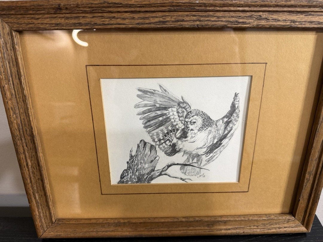 Vintage Signed Owl Drawing 1978 Framed Wildlife Art Pencil Sketch - Etsy