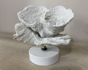 White Coral Sculpture Coastal Decor Resin Cast Stone Look Centerpiece 7”