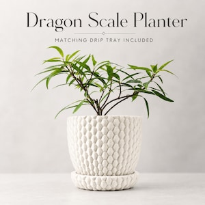Dragon Scale Planter & Matching Drip Tray | Modern 3D Printed Planter | Unique Textured Plant Pot | Home Decor
