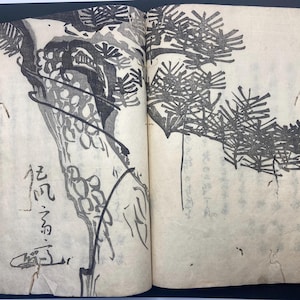 Auténtico libro japonés encuadernado con hilo, período Edo, siglo XIX. Misterioso manuscrito Wabon escrito a mano con caligrafía en papel Washi. Rara curiosidad. Agujeros de gusano.