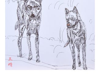 Kai&Mei/Hand-drawn Dog Sketc,Aclose-Knit Brother and Sister