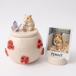 Custom Pet Memorial Urn, Ceramic Keepsake Jar with 3D Figurine and Butterfly