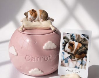 Custom 3D Pet Urn Ceramic Jar | Sleeping Pet Ashes Keepsake, Cloud Pillow Memorial