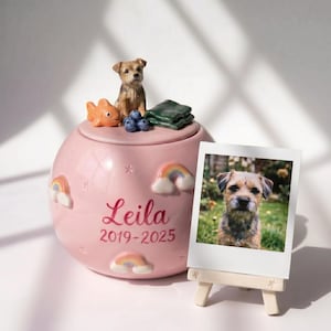 Custom Ceramic Pet Urn with 3D Figurine | Hand-Painted Pet Memorial Keepsake