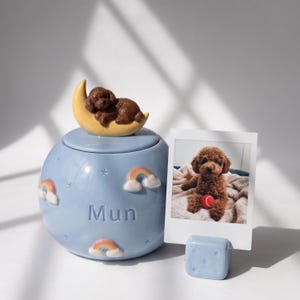 Custom 3D Pet Memorial Urn | Personalized Ceramic Keepsake Jar, Moon, Rainbows, Stars