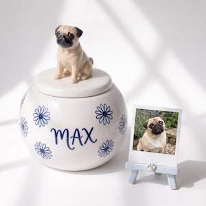 Custom Pet Urn with 3D Figurine, Ceramic Keepsake Jar with Daisy Design