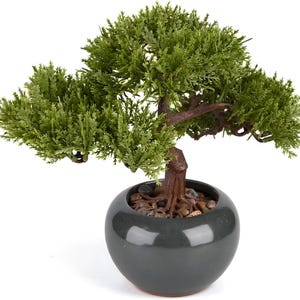 Árbol bonsái artificial de 24 cm (9,5 pulgadas) – Planta artificial en maceta de cerámica, bonsái decorativo para interiores, hogar y oficina.