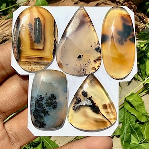 Può includere: Cinque cabochon di agata dendritica lucida in varie forme, tra cui ovale, a goccia e rettangolare. Le pietre presentano tonalità ambrate, marrone chiaro e crema traslucide con inclusioni scure di ossido di manganese simili a felci.