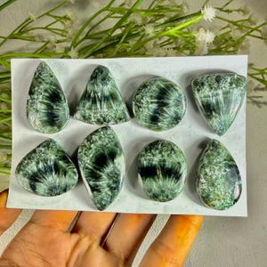 Può includere: Otto pietre preziose di serafinite lucidata in varie forme, tra cui goccia, triangolo e ovale. Le pietre mostrano un caratteristico colore verde con inclusioni argentate e piumate. Le pietre sono disposte su una superficie bianca.
