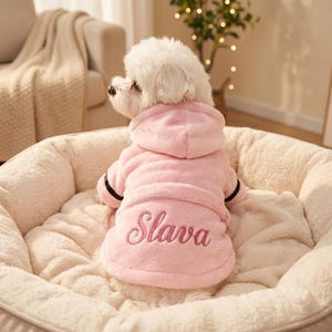 Op de afbeelding: Een lichtroze hondenhoodie met de naam "Slava" op de rug geborduurd. De hoodie heeft een capuchon en zwarte strepen op de mouwen. De hond zit in een beige hondenmand.