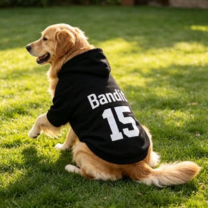 May include: A black dog hoodie featuring the name Bandit and the number 15 printed in large white block lettering on the back. The garment includes a hood and sleeves, designed to fit a canine, with a clear view of the text and numerals.