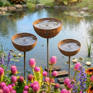 Può includere: Tre rustiche vasche per uccelli a forma di ciotola, con increspature nell'acqua, sono immerse in uno stagno. Le vasche sono sostenute da sottili pali di metallo. La scena è circondata da vibranti fiori rosa, viola e arancioni, con uno sfondo di verde lussureggiante e acqua.