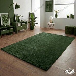 May include: A large, rectangular, dark green rug on a hardwood floor. The rug is the focal point of a room with green furniture, plants, and artwork. The room has a modern, minimalist aesthetic.