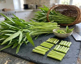 100 Water Spinach Seeds, Kangkong, Ong Choy, White Stem Willow-Leaf Vegetable