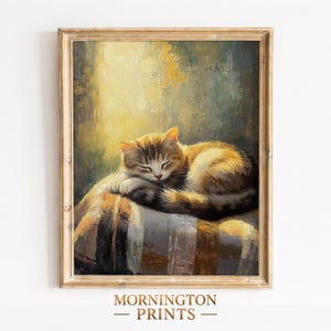 May include: A framed print depicting a sleeping tabby cat. The cat is resting on a striped cushion, with its eyes shut. The artwork features a warm colour scheme of gold, brown, and grey. The text "MORNINGTON - PRINTS -" is at the bottom.