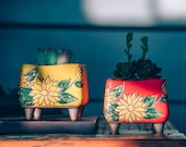 Set of 2 - Beautiful Flower Style terracotta Planter,Ceramic Planter,Succulent Planter, Succulent Pot,Cactus Planter Container, Planter Set