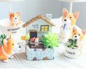 Lovely Animals Planter,Dog Planter,Succulent Pot,Cactus Planter Container,Planter Set,Gift Pots,Air Plant Holder,Desk Decoration