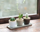 Set of 3 -mini Ceramic Planters with Tray,Ceramic Planter,Succulent Planter,Succulent Pot,Cactus Planter Container,Indoor Planter
