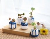 Set of 6 - Hand Painting Planter,Succulent Planter, Succulent Pot,Cactus Planter Container,Flower Planter,Home Decor,office decor,Mini Pot