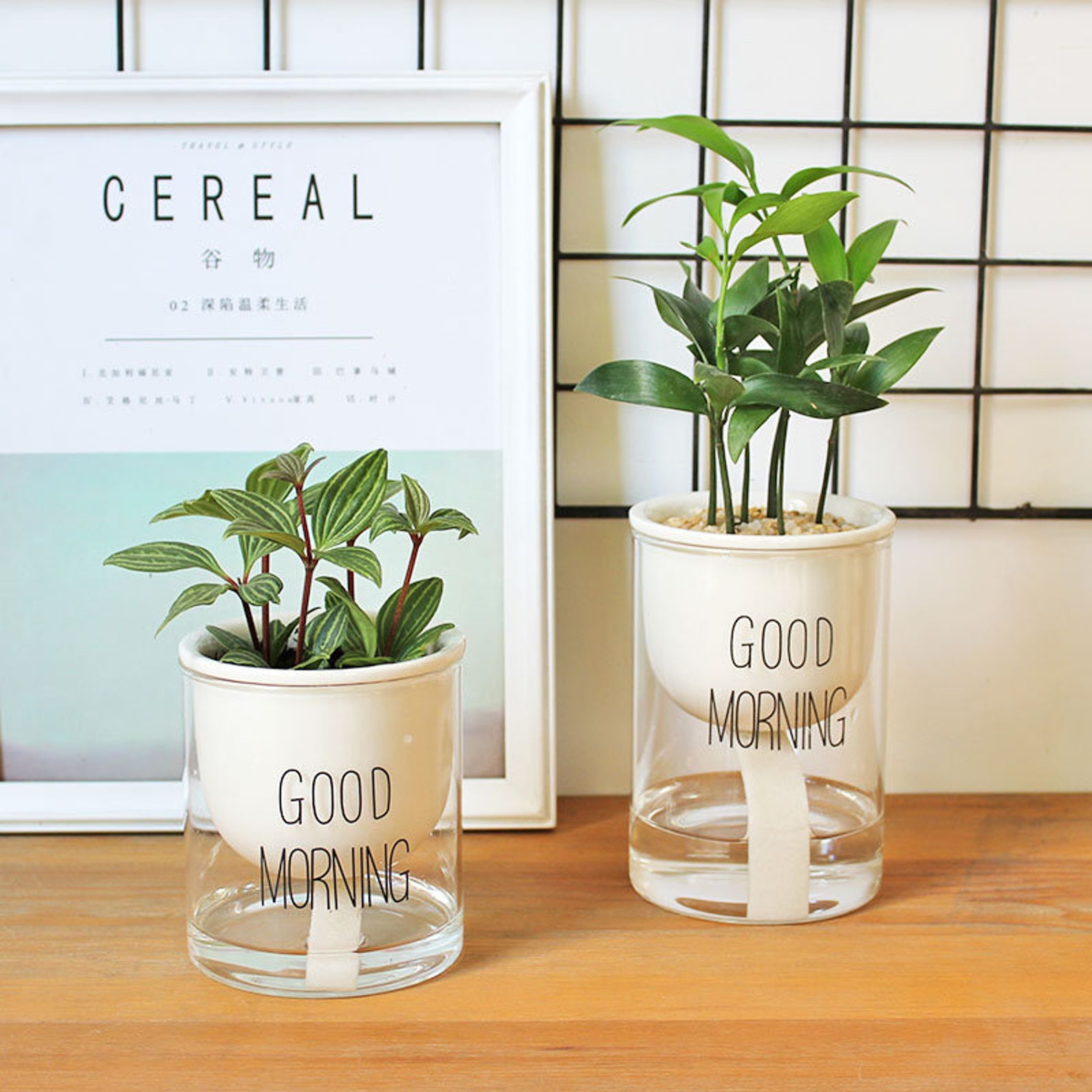 Set of 2 Self Watering Ceramic Planters With Glass Etsy