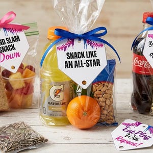 Baseball Drip Snack Bag Tags Printable | Home Plate Shaped | Game Day | Instant Download
